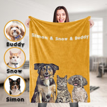 Load image into Gallery viewer, Pet Blanket(宠物毯子)(新增礼盒弹窗)
