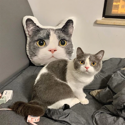 定制设计器-异形宠物抱枕-CYXZ005