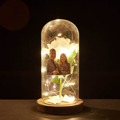 MM-传图玻璃罩永生花B2BXHD2337