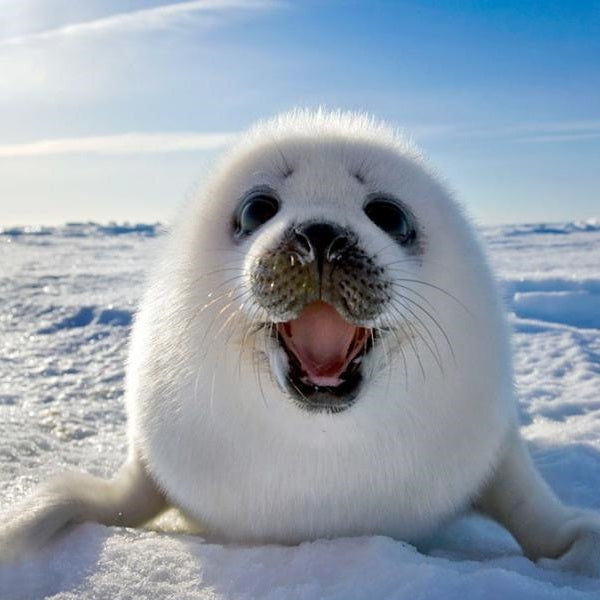 朱家城_测试产品_1